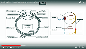 Vidéo oeil
