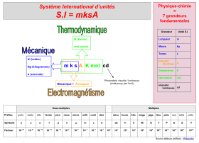 Système SI